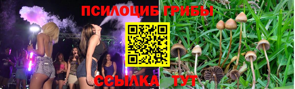 Псилоцибиновые грибы Magic Shrooms  Вход с VPN  Горячий Ключ  Галлюциногенные грибы MAGIC MUSHROOMS 